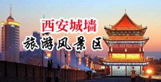 的网站全裸无尽中国陕西-西安城墙旅游风景区