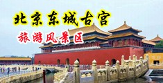 大鸡巴操女人骚逼。中国北京-东城古宫旅游风景区